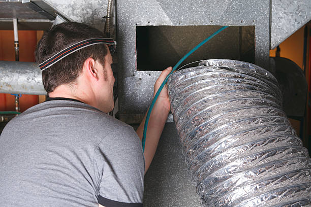 Air Duct Mold Removal in Escatawpa, MS