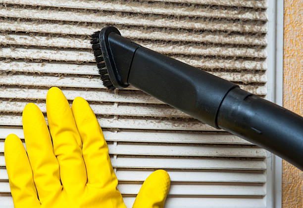 Best Air Duct Mold Removal  in Escatawpa, MS